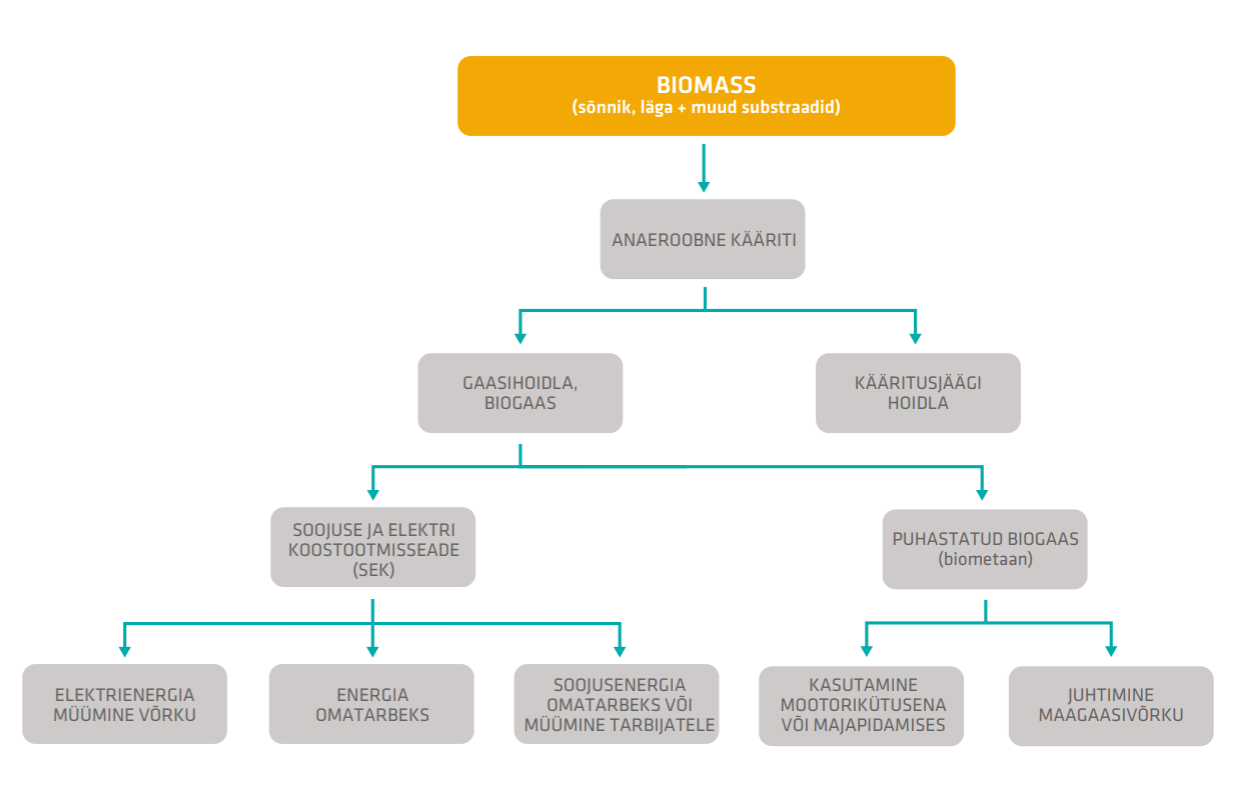 Joonis 31 Biogaasi tootmisprotsessi ja kasutusalade põhimõtteline skeem